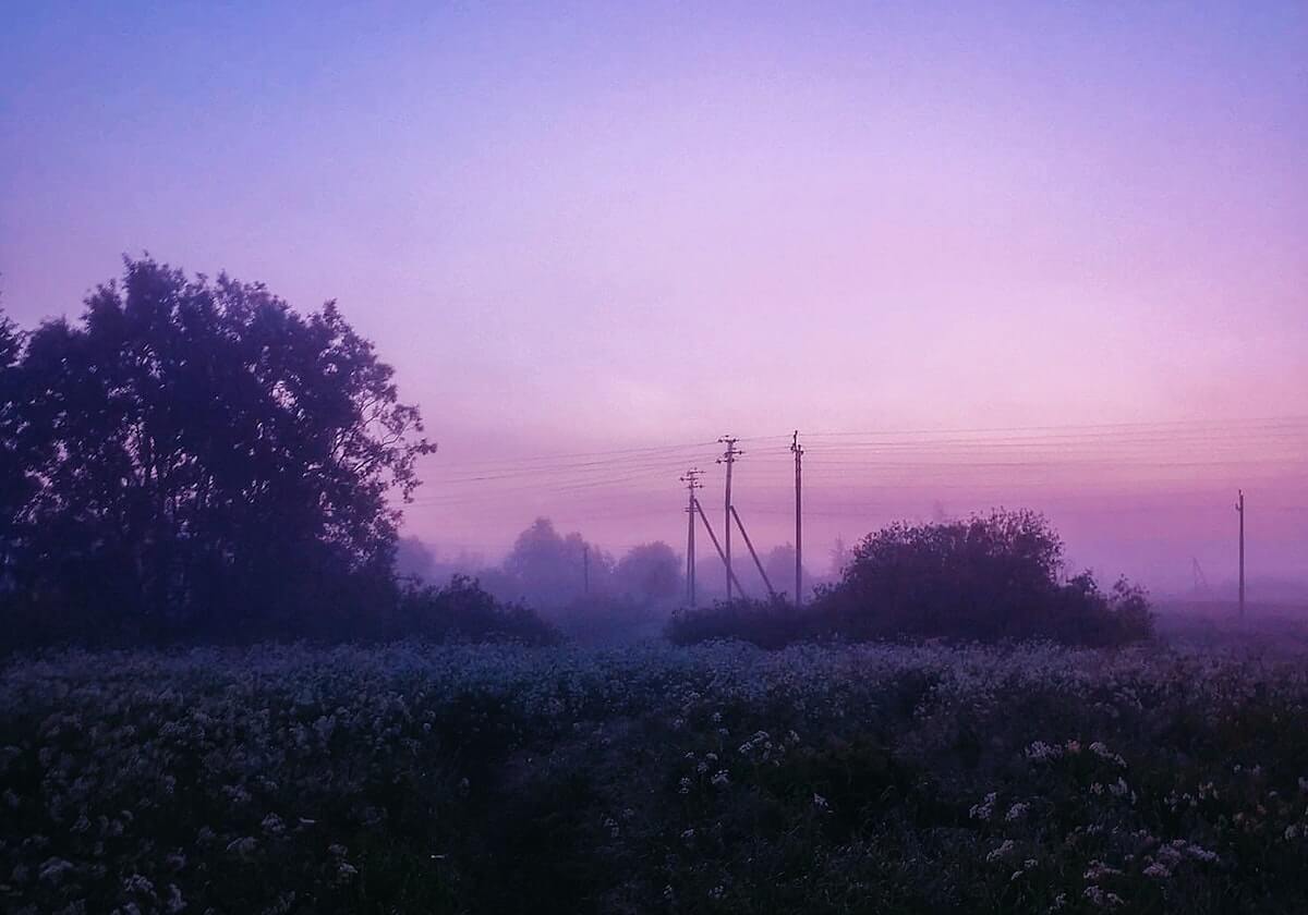 世界杯手机观看-内少伤退 4人因伤未勤王 2人染新冠 巴西队悬了？